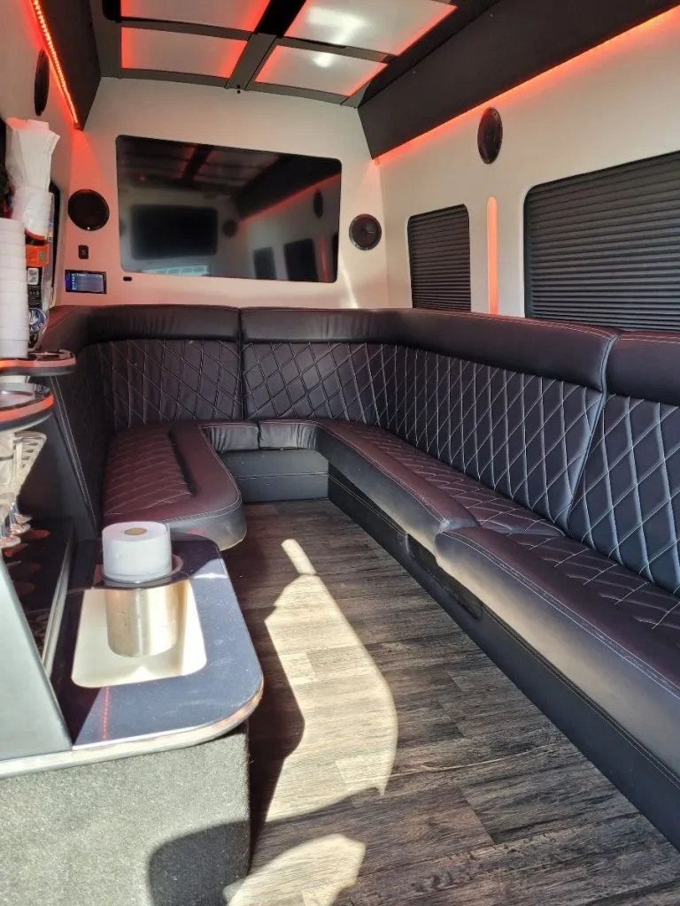 12 Passenger Mercedes-Benz Party Bus (black), pic 3