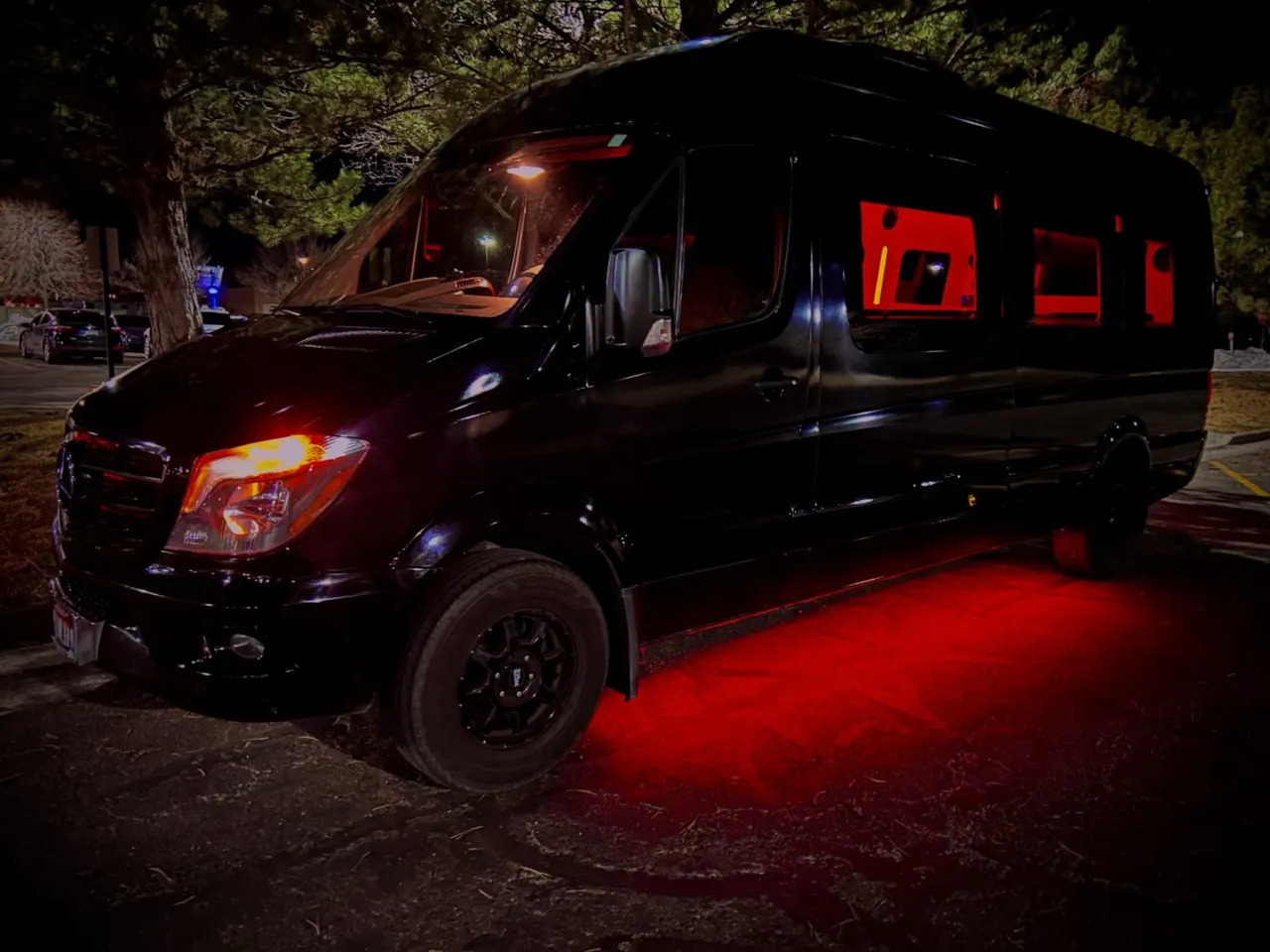 12 Passenger Mercedes-Benz Party Bus (black), pic 5