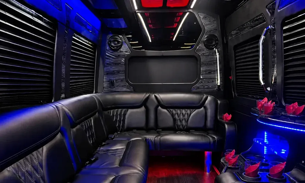 14 Passenger Sprinter Party Bus (black), pic 2