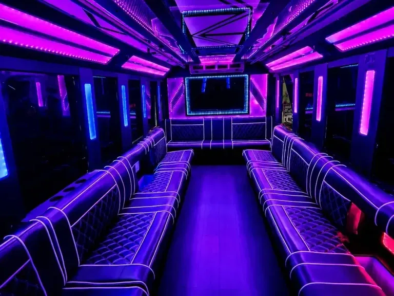 20 Passenger Party Bus (white), pic 2
