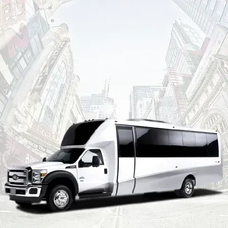20 Passenger Party Bus 20 Passenger Party Bus for booking