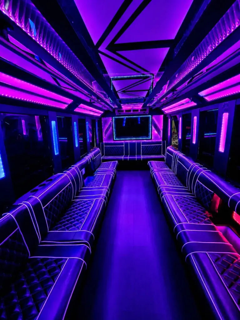 20 Passenger Party Bus (white), pic 2