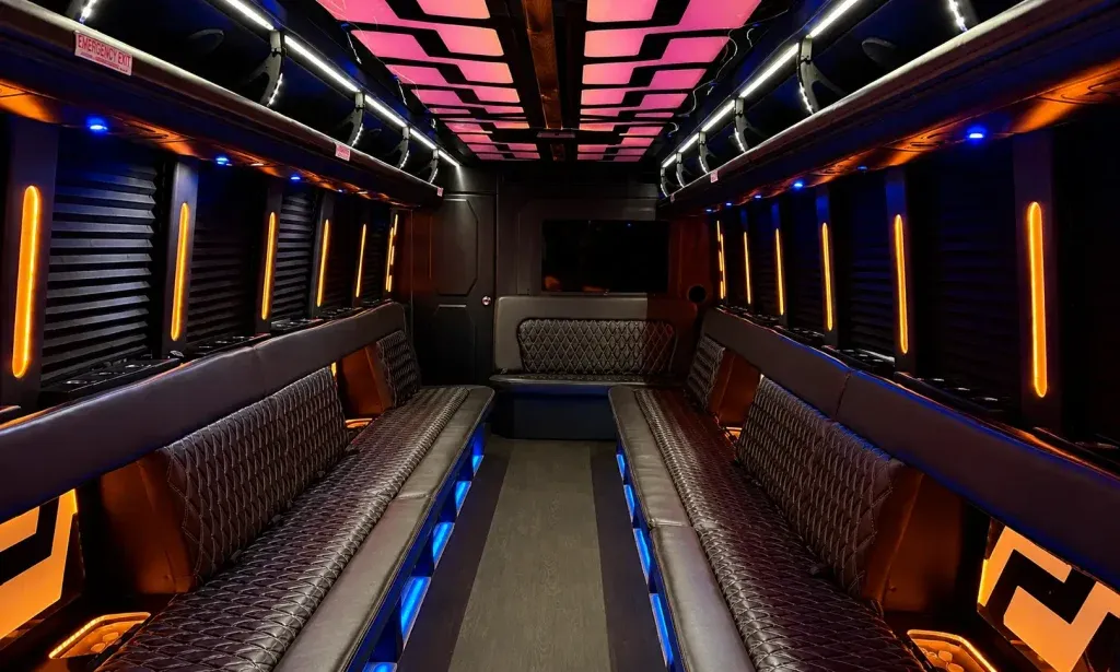 38 Passenger Party Bus (black) for booking
