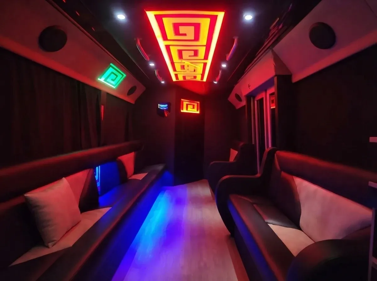 CNG Party Bus (black), pic 3