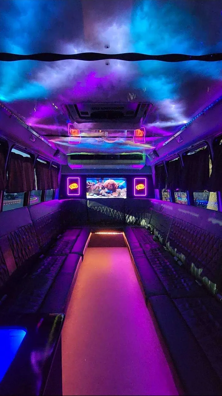 2019 Luxury Party Bus (Dark Shadow): seating area, with perimeter lounge seating, LED accent lighting and LED ceiling lighting