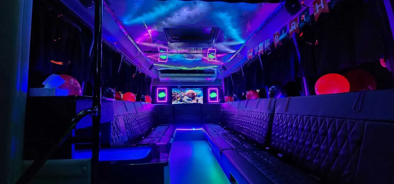 20 Passenger Luxury Party Bus (Dark Shadow): seating area, with perimeter lounge seating, LED accent lighting and LED ceiling lighting
