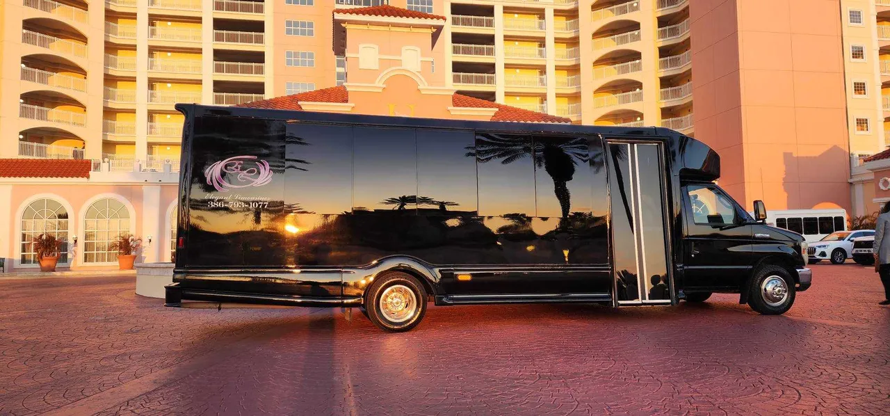 2019 Luxury Party Bus (Dark Shadow) (black): full view, with tinted windows