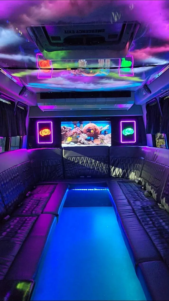 2019 Luxury Party Bus (Dark Shadow): seating area, with perimeter lounge seating, LED accent lighting and LED ceiling lighting, pic 4
