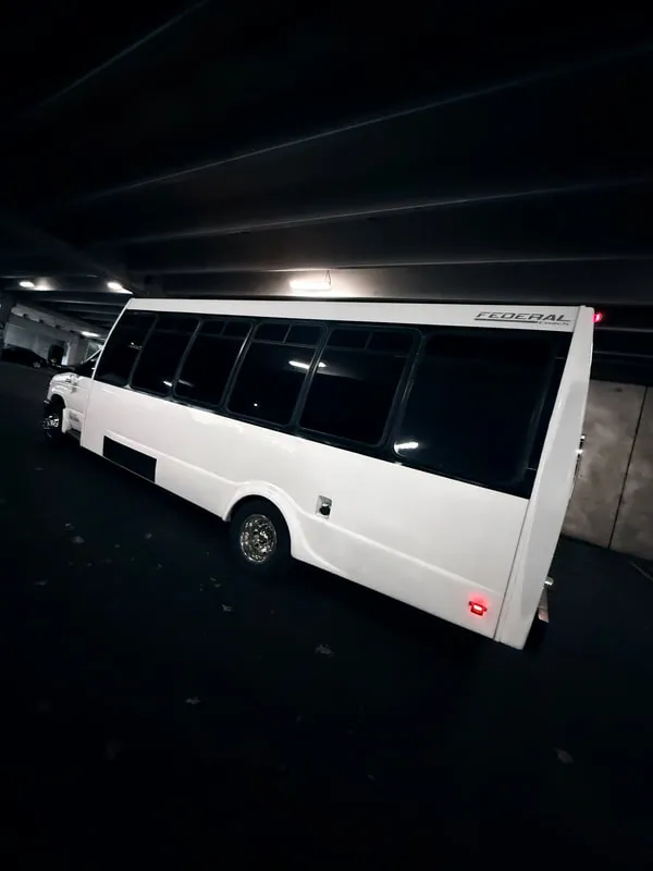 Ford E-450 Series Party Bus (white): full view, pic 7