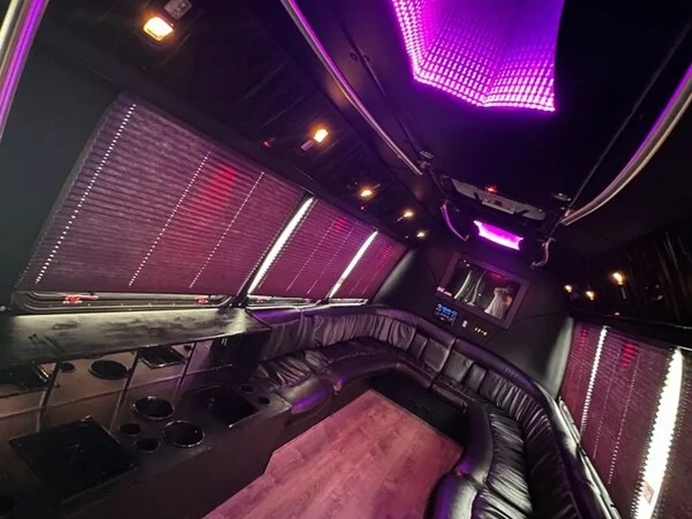 Ford E-450 Series Party Bus (white), pic 3