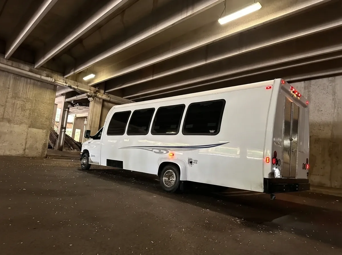 Ford E-450 Series Party Bus (white), pic 12