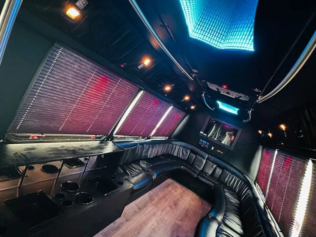 Ford E-450 Series Party Bus (white), pic 10