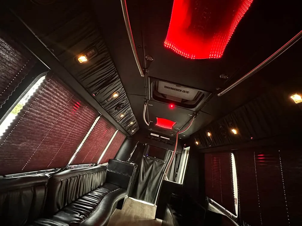 Ford E-450 Series Party Bus (white), pic 8