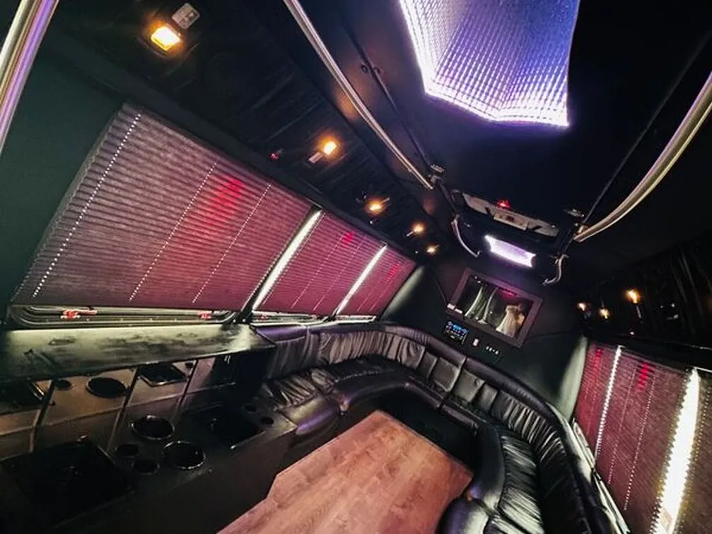 Ford E-450 Series Party Bus (white), pic 5