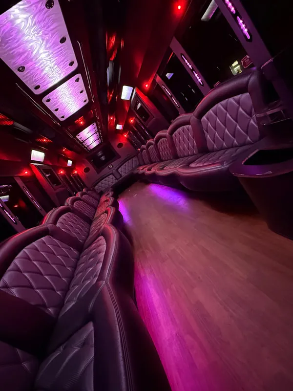 Freightliner Party Bus: seating area, with perimeter lounge seating, LED ceiling lighting and wood-look flooring, pic 11