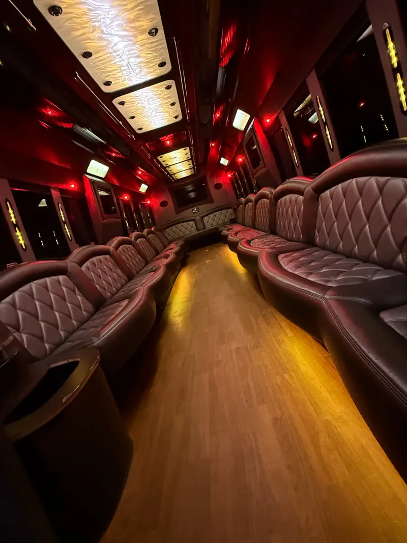 Freightliner Party Bus: seating area, with perimeter lounge seating, LED ceiling lighting and wood-look flooring, pic 12