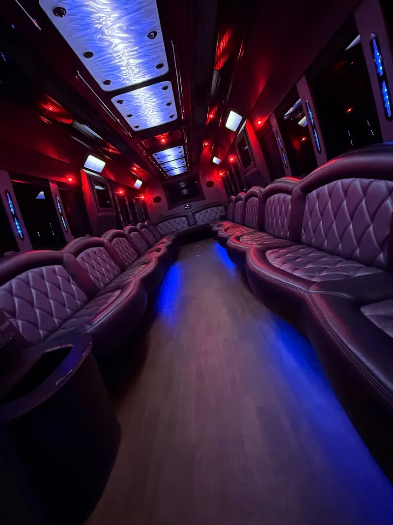 Freightliner Party Bus: seating area, with perimeter lounge seating, LED ceiling lighting and wood-look flooring, pic 8