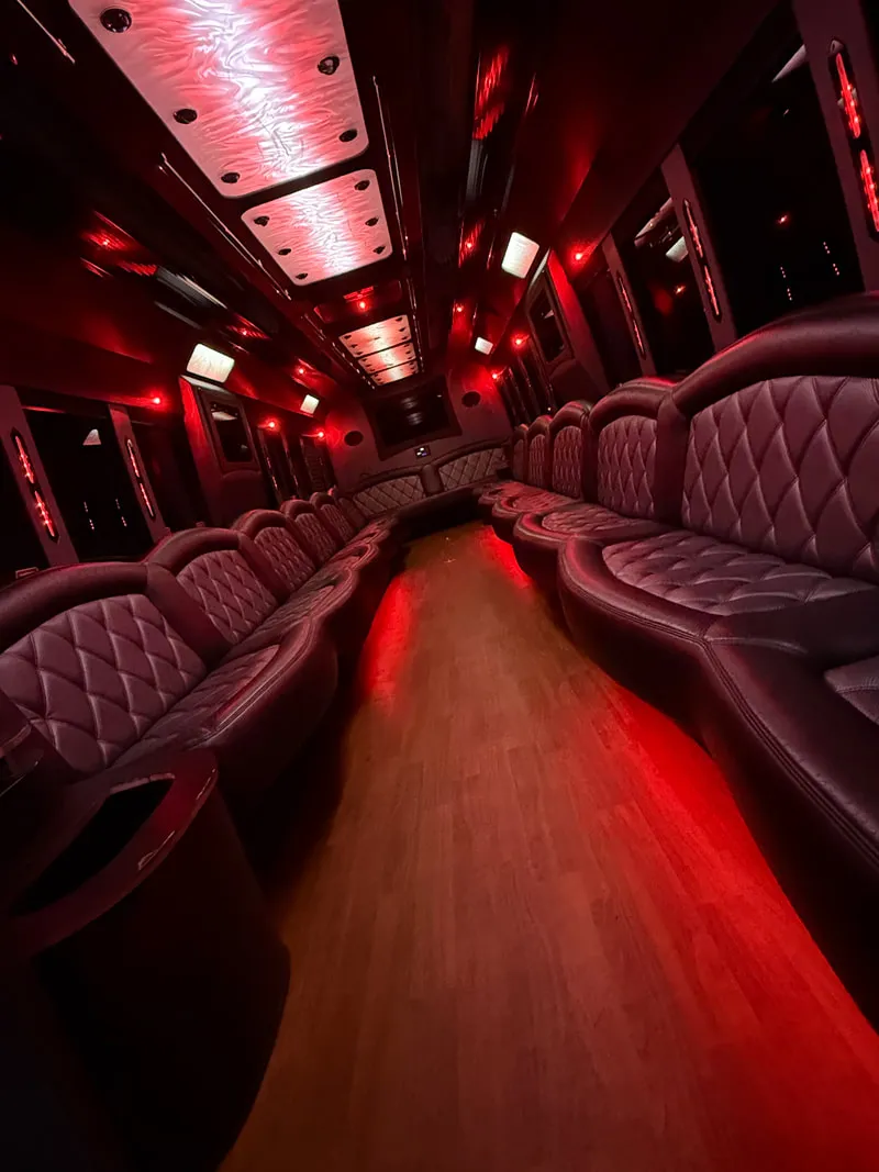 Freightliner Party Bus: seating area, with perimeter lounge seating, LED ceiling lighting and wood-look flooring, pic 9