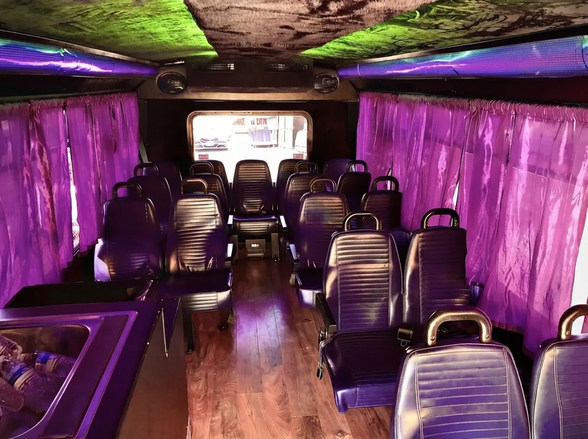 Limousine Party Bus (white), pic 2