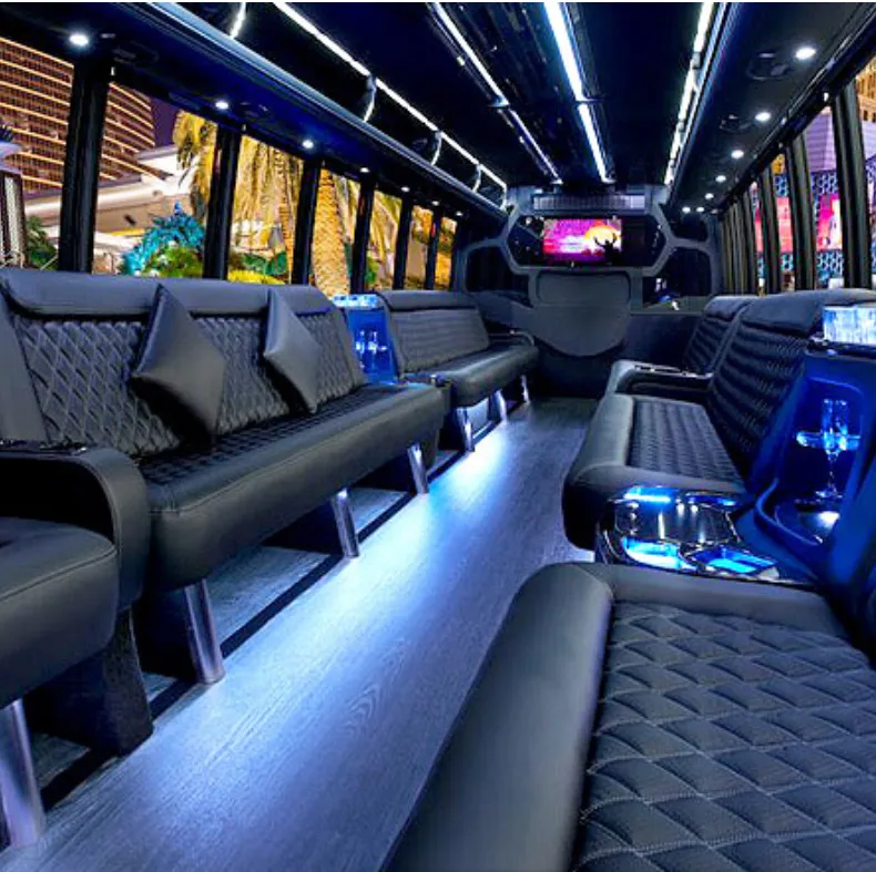 38 Passenger Luxury Party Bus: seating area