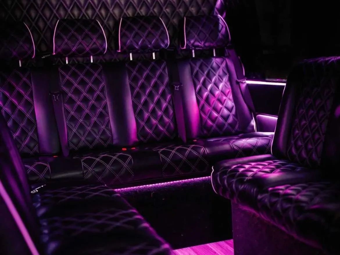 Mercedes-Benz Executive Sprinter (black) for party bus rental, pic 2