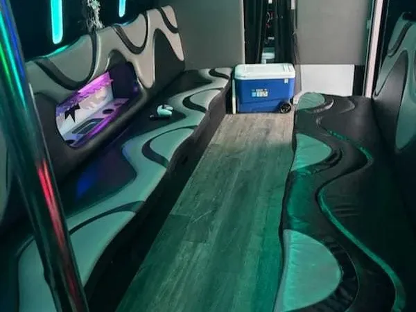 Mercedes-Benz Party Buses (black), pic 6