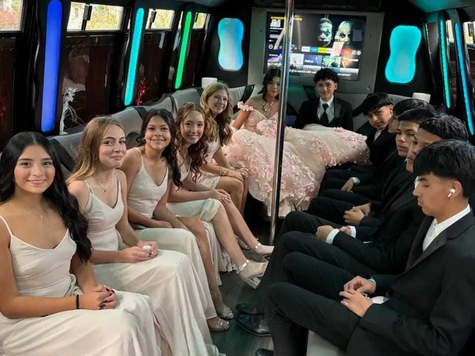 Mercedes-Benz Party Buses (black), pic 3