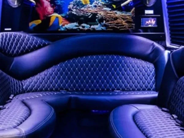 Mercedes-Benz Sprinter Limousine Mercedes-Benz Sprinter Limousine for party bus rental for booking