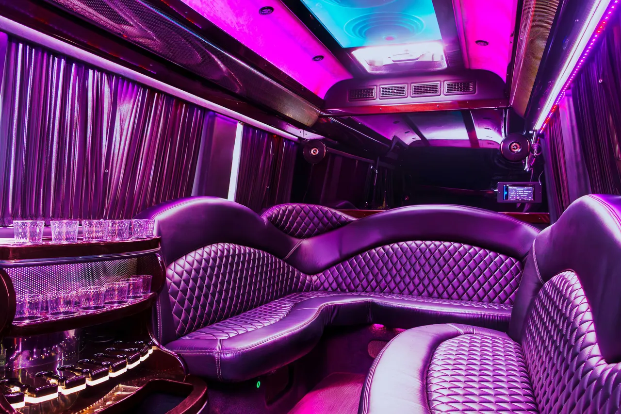 Mercedes-Benz Sprinter Limousine Mercedes-Benz Sprinter Limousine for party bus rental: seating area, with sofa-style seating, window shades and LED ceiling lighting