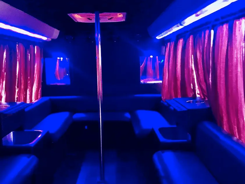 16 Passenger Party Bus: seating area, with perimeter lounge seating, window shades and dance pole