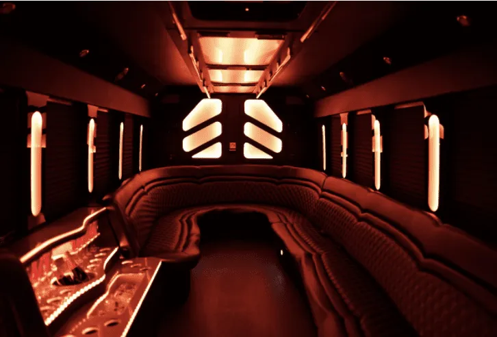 25 Passenger Party Bus: seating area, with perimeter lounge seating and LED accent lighting