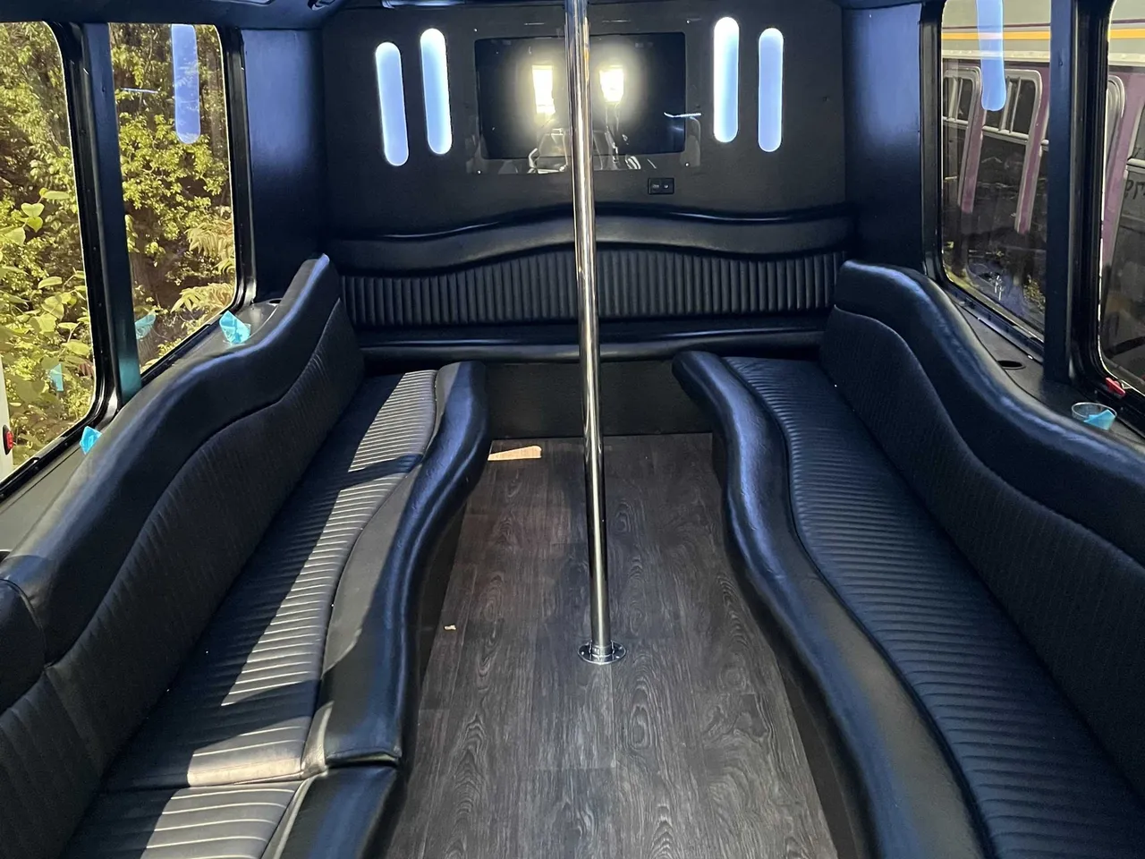 18 Passenger Party Bus (white), pic 2