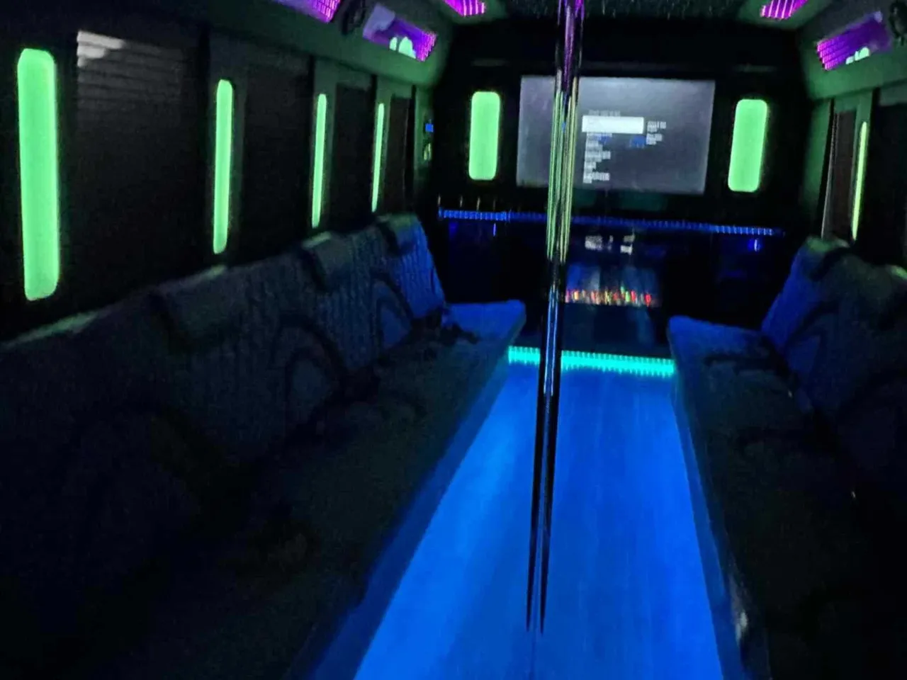 18 Passenger Party Bus (white), pic 2