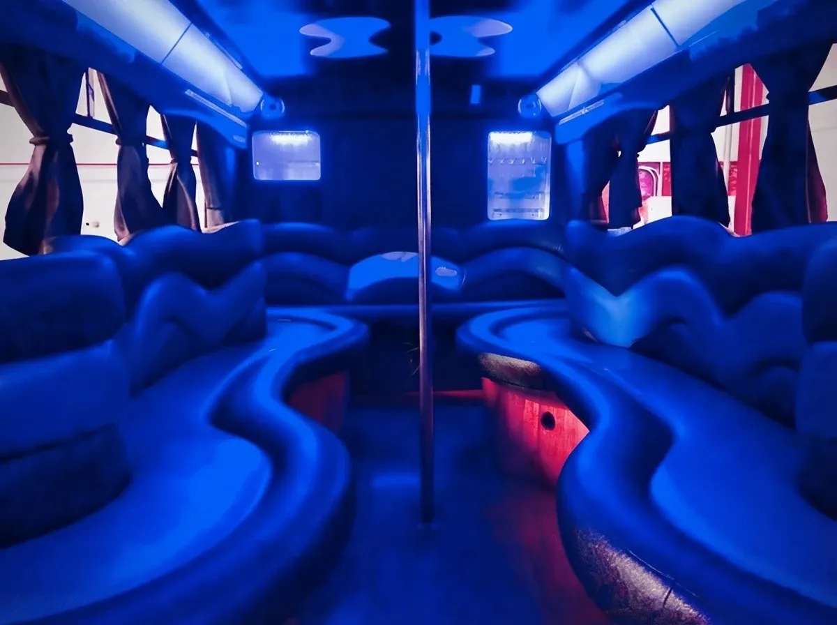 18 Passenger Party Bus (black), pic 2