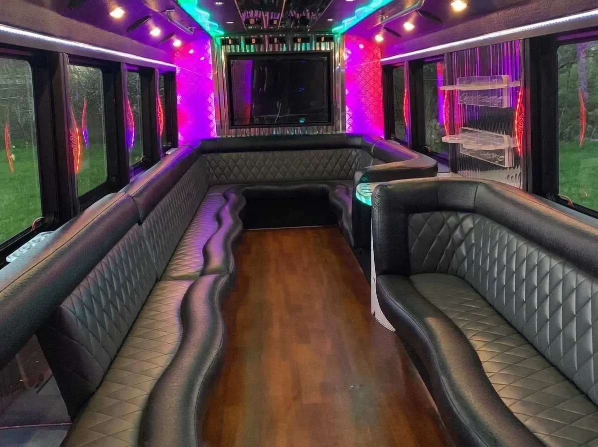 Party Bus - Sophia Loren (white), pic 2
