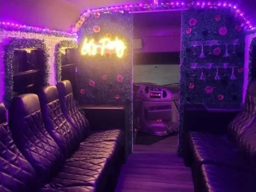 Rose Party Bus (pink), pic 2
