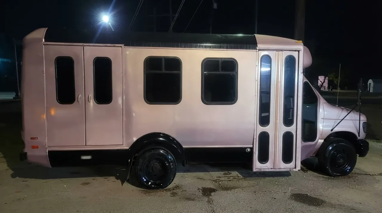 Rose Party Bus (pink), pic 3